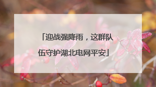 迎战强降雨，这群队伍守护湖北电网平安