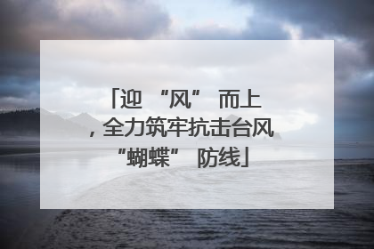 迎 “风” 而上，全力筑牢抗击台风 “蝴蝶” 防线
