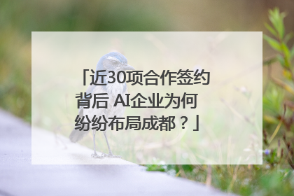 近30项合作签约背后 AI企业为何纷纷布局成都？