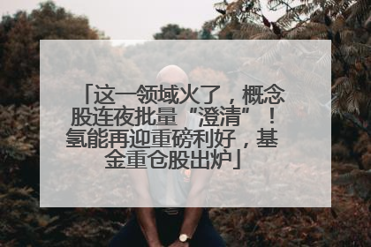 这一领域火了，概念股连夜批量“澄清”！氢能再迎重磅利好，基金重仓股出炉