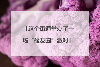 这个街道举办了一场“盆友圈”派对