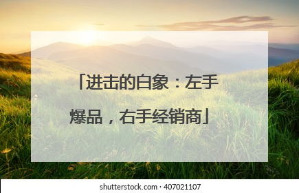 进击的白象：左手爆品，右手经销商