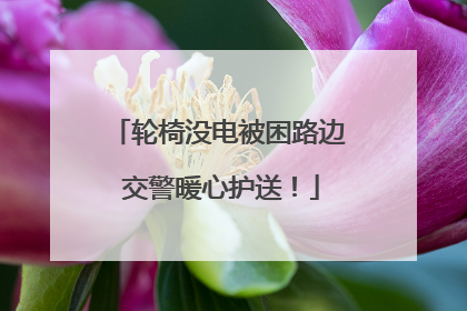 轮椅没电被困路边 交警暖心护送！