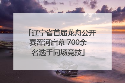 辽宁省首届龙舟公开赛浑河启幕 700余名选手同场竞技