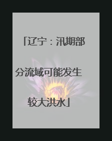 辽宁：汛期部分流域可能发生较大洪水