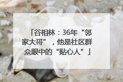 谷相林：36年“邻家大哥”，他是社区群众眼中的“贴心人”