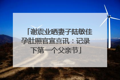 谢震业晒妻子陆敏佳孕肚照官宣喜讯：记录下第一个父亲节