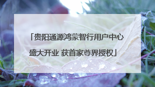 贵阳通源鸿蒙智行用户中心盛大开业 获首家尊界授权