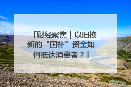 财经聚焦｜以旧换新的“国补”资金如何抵达消费者？