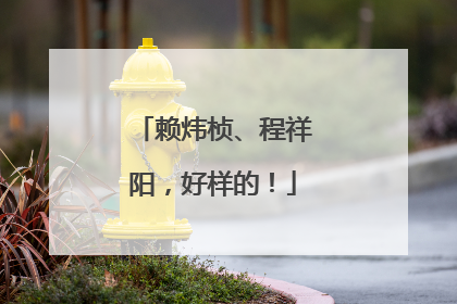 赖炜桢、程祥阳，好样的！