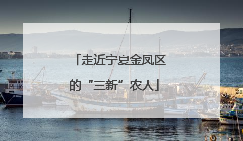 走近宁夏金凤区的“三新”农人