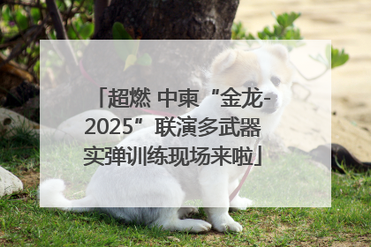超燃 中柬“金龙-2025”联演多武器实弹训练现场来啦
