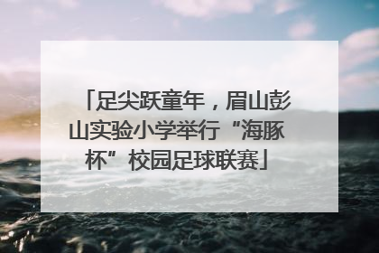 足尖跃童年，眉山彭山实验小学举行“海豚杯”校园足球联赛