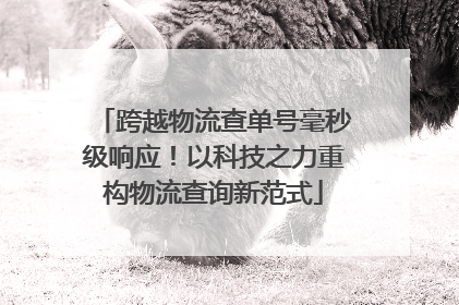 跨越物流查单号毫秒级响应！以科技之力重构物流查询新范式