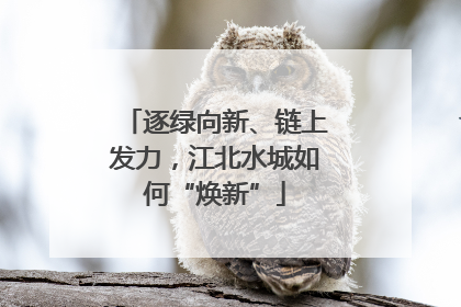 逐绿向新、链上发力，江北水城如何“焕新”