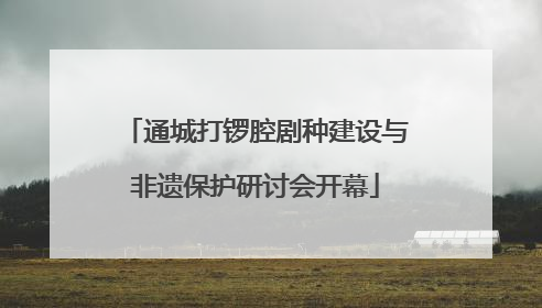 通城打锣腔剧种建设与非遗保护研讨会开幕