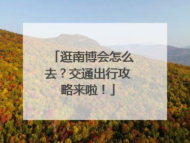 逛南博会怎么去？交通出行攻略来啦！