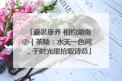 避暑康养 相约湖南②｜茶陵：水天一色间，于时光里拾取诗意