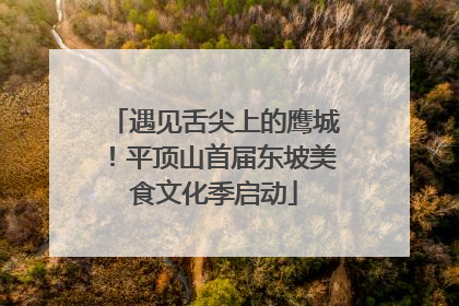遇见舌尖上的鹰城！平顶山首届东坡美食文化季启动