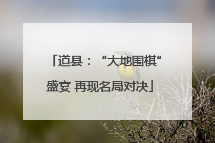 道县：“大地围棋”盛宴 再现名局对决