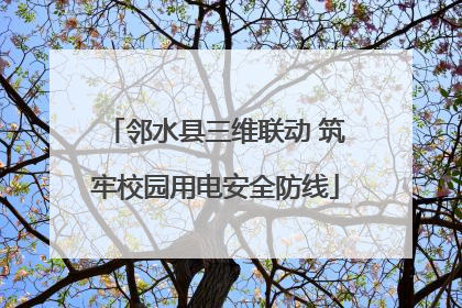 邻水县三维联动 筑牢校园用电安全防线
