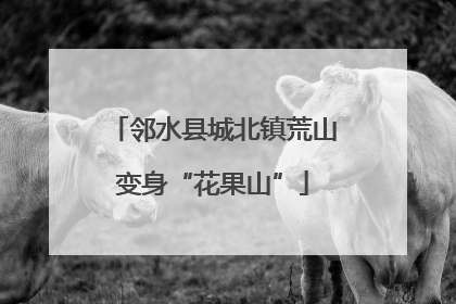 邻水县城北镇荒山变身“花果山”