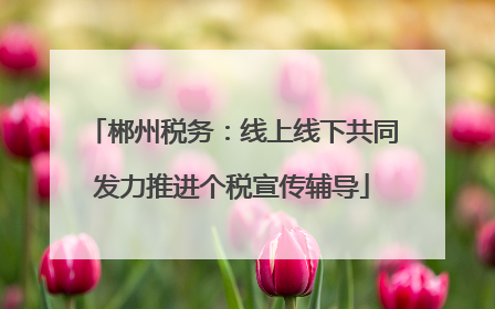郴州税务：线上线下共同发力推进个税宣传辅导