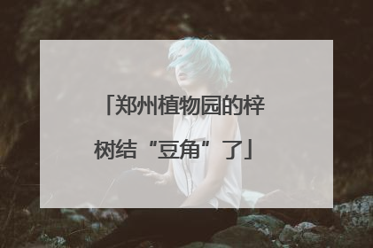郑州植物园的梓树结“豆角”了