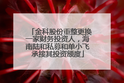 金科股份重整更换一家财务投资人，海南陆和私募和单小飞承接其投资额度