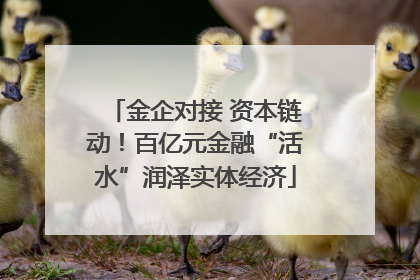 金企对接 资本链动！百亿元金融“活水”润泽实体经济