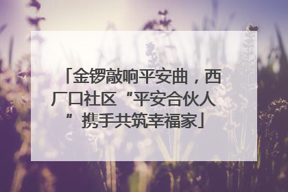金锣敲响平安曲，西厂口社区“平安合伙人”携手共筑幸福家