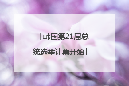 韩国第21届总统选举计票开始