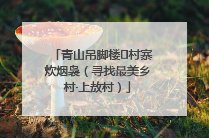 青山吊脚楼 村寨炊烟袅（寻找最美乡村·上敖村）