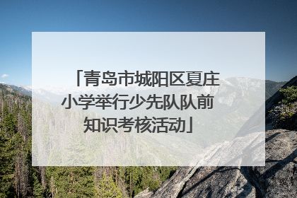 青岛市城阳区夏庄小学举行少先队队前知识考核活动