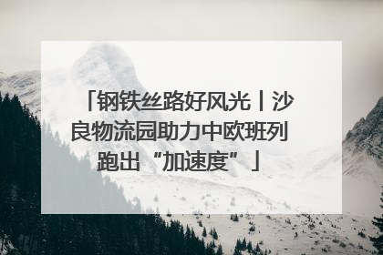 钢铁丝路好风光丨沙良物流园助力中欧班列跑出“加速度”