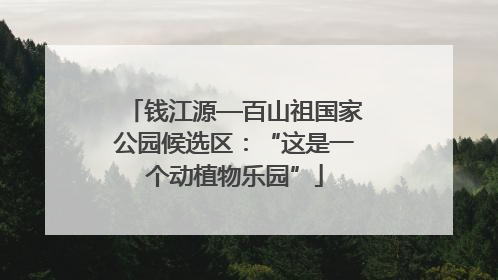钱江源—百山祖国家公园候选区：“这是一个动植物乐园”