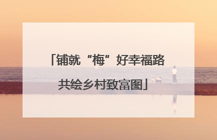 铺就“梅”好幸福路 共绘乡村致富图
