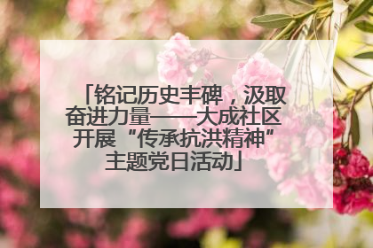 铭记历史丰碑，汲取奋进力量——大成社区开展“传承抗洪精神”主题党日活动