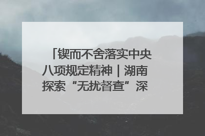 锲而不舍落实中央八项规定精神｜湖南探索“无扰督查”深化基层减负