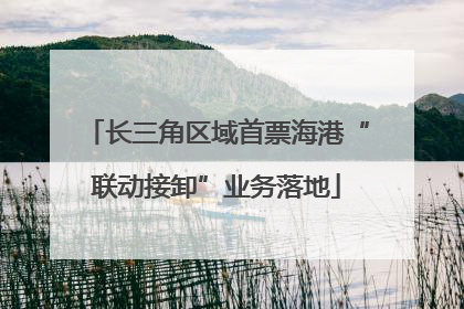 长三角区域首票海港“联动接卸”业务落地