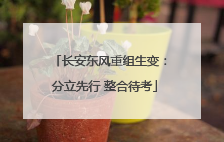 长安东风重组生变：分立先行 整合待考