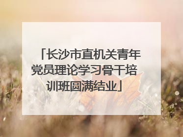 长沙市直机关青年党员理论学习骨干培训班圆满结业