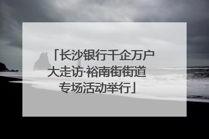 长沙银行千企万户大走访·裕南街街道专场活动举行