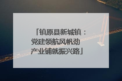 镇原县新城镇：党建领航风帆劲 产业铺就振兴路