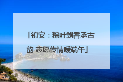 镇安：粽叶飘香承古韵 志愿传情暖端午