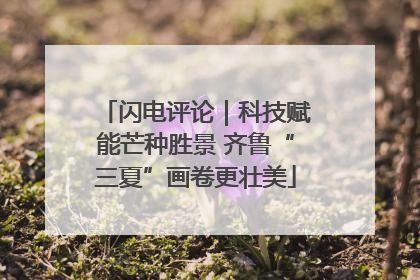 闪电评论｜科技赋能芒种胜景 齐鲁“三夏”画卷更壮美