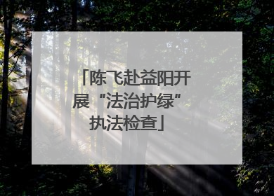 陈飞赴益阳开展“法治护绿”执法检查
