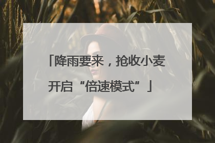 降雨要来，抢收小麦开启“倍速模式”