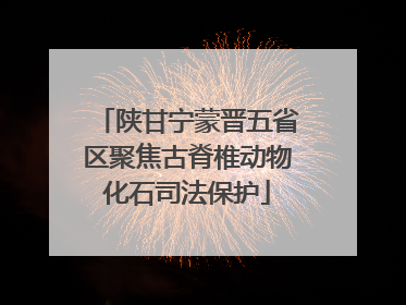 陕甘宁蒙晋五省区聚焦古脊椎动物化石司法保护