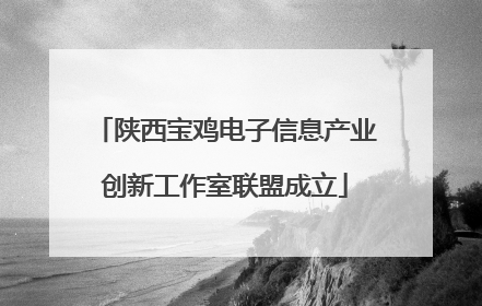 陕西宝鸡电子信息产业创新工作室联盟成立